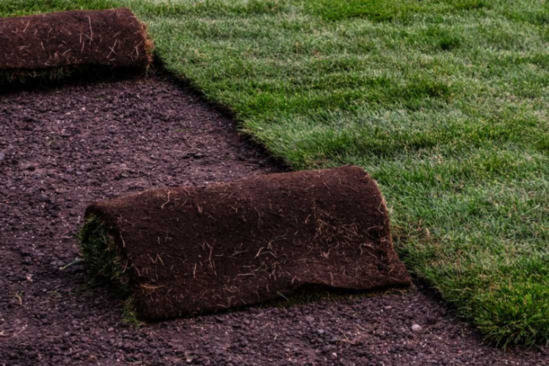 Sod Laying and Installation